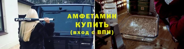 амф Алексин