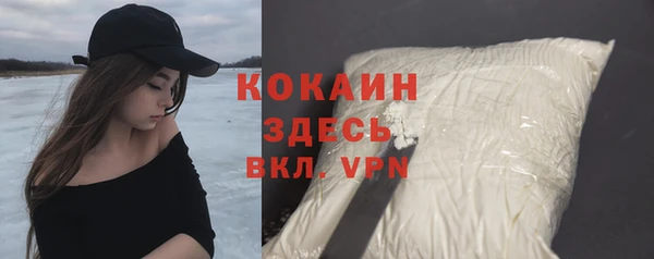 ешки Арсеньев
