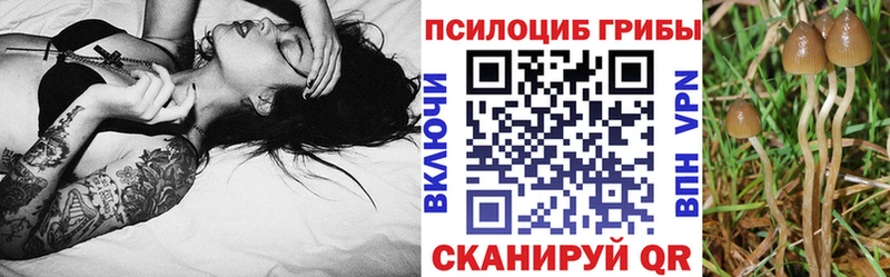 Купить  Баймак  Галлюциногенные грибы прущие грибы 